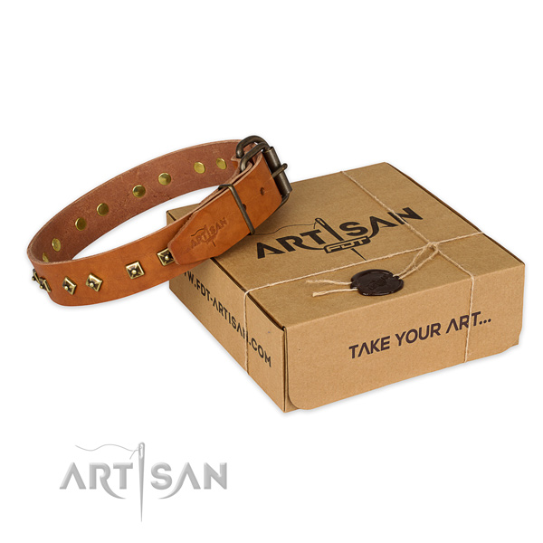 Rust-proof hardware on natural leather dog collar for handy use