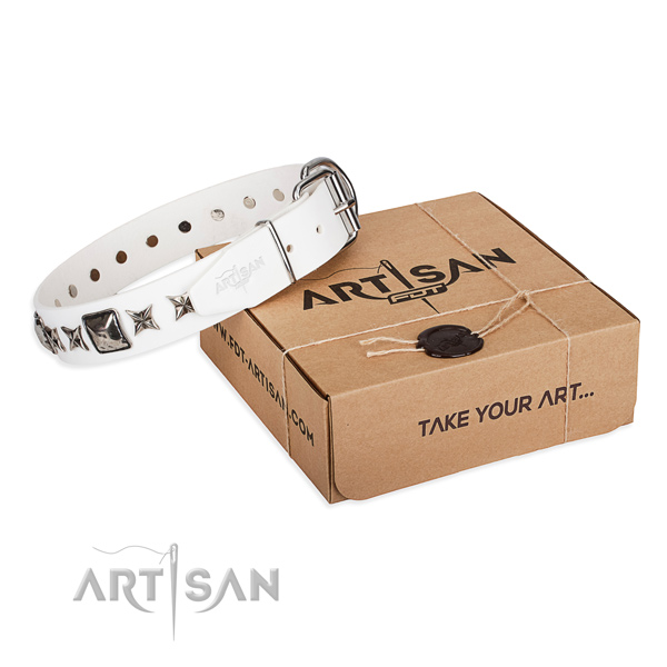 Everyday use leather dog collar with embellishments