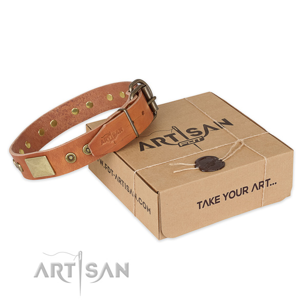 Rust resistant fittings on full grain natural leather dog collar for daily walking