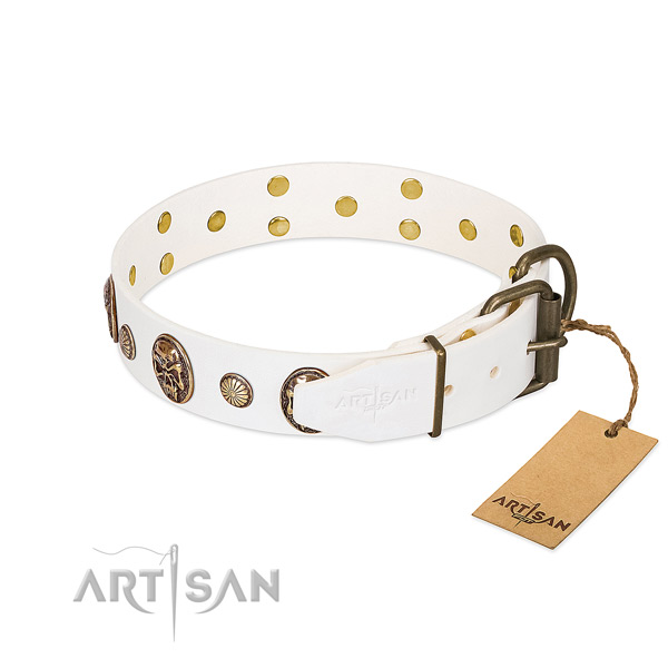 Durable hardware on full grain genuine leather collar for walking your doggie