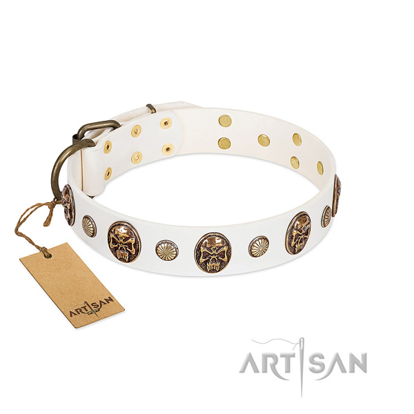Easy to adjust full grain leather dog collar for fancy walking