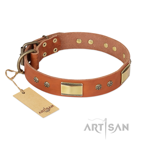 Amazing full grain natural leather collar for your four-legged friend