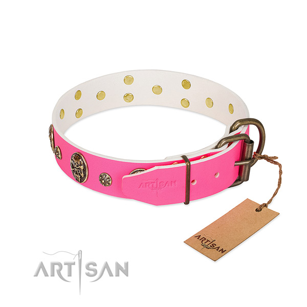 Corrosion resistant buckle on natural leather collar for everyday walking your pet