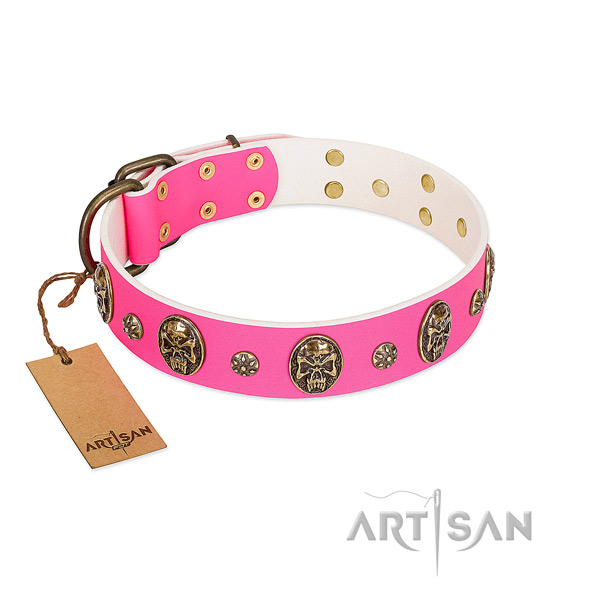 Easy adjustable genuine leather dog collar for everyday use