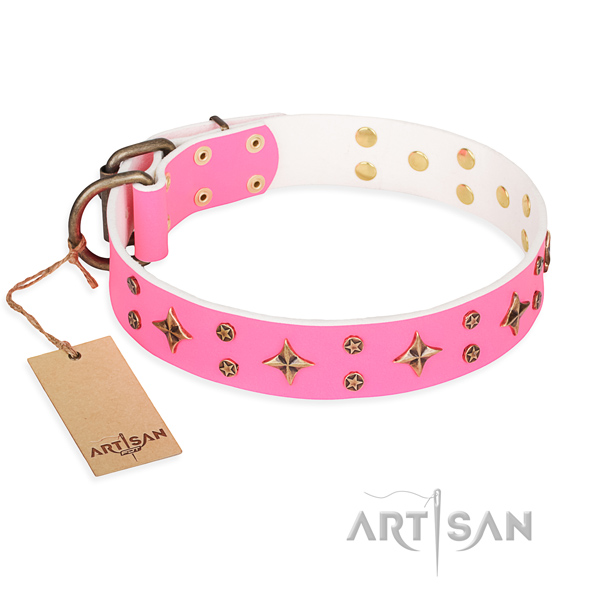 Daily use dog collar of quality natural leather with adornments