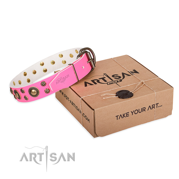 Everyday use dog collar of top notch genuine leather with adornments