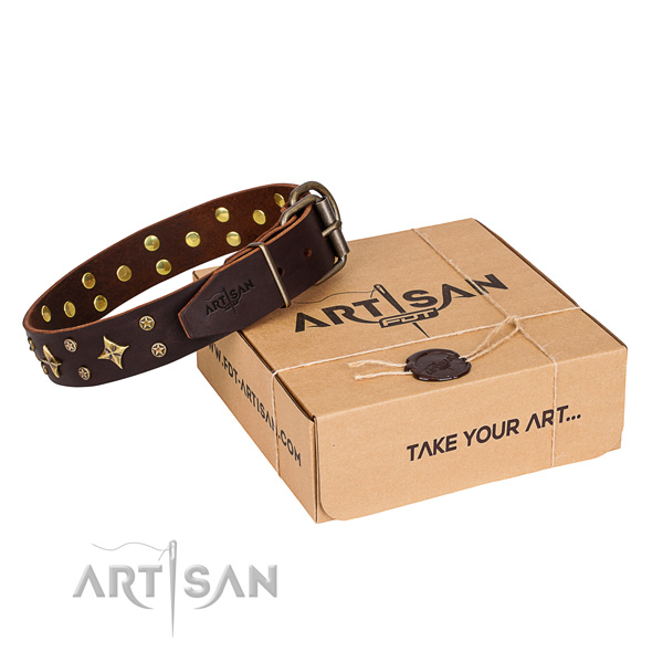Everyday use dog collar of quality full grain natural leather with embellishments