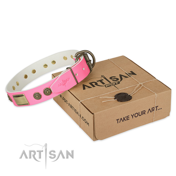 Corrosion proof fittings on dog collar for everyday use