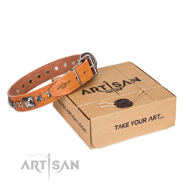 Everyday use genuine leather dog collar with adornments