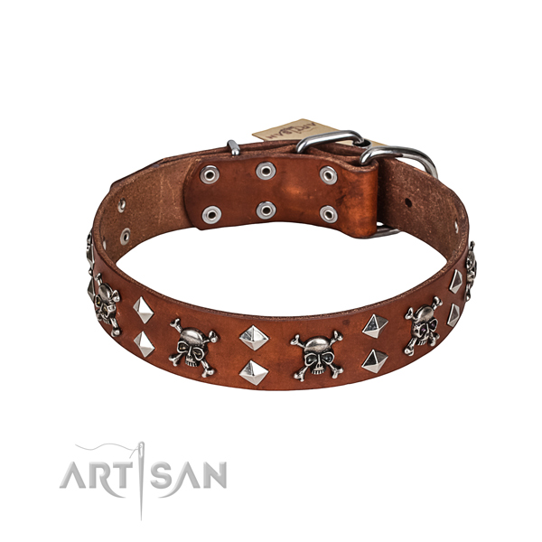 Handy use dog collar of quality leather with adornments