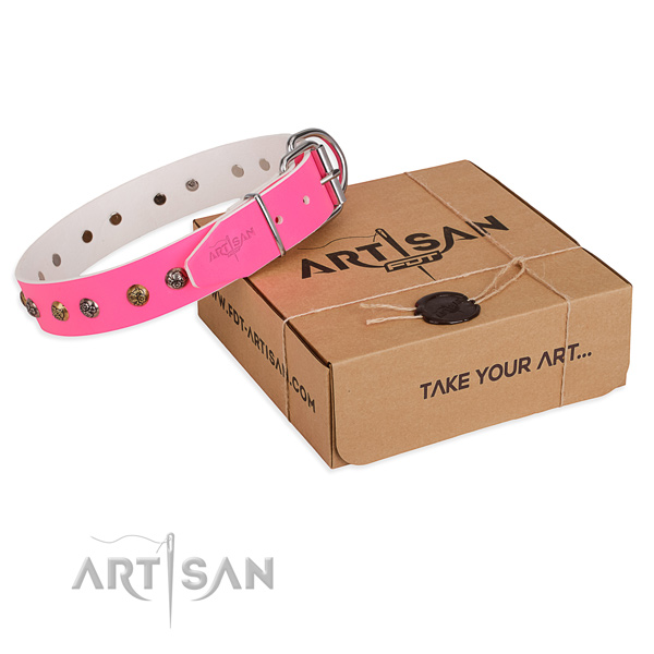 Comfortable wearing dog collar with Significant rust resistant adornments