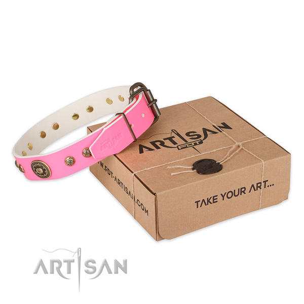 Corrosion proof buckle on leather dog collar for fancy walking