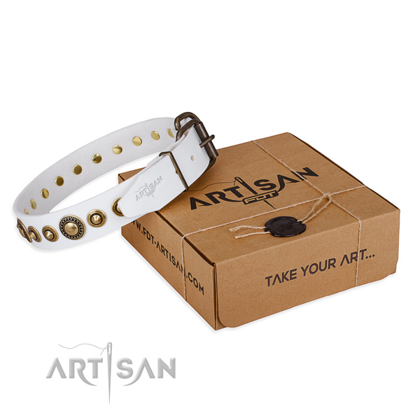 Gentle to touch full grain natural leather dog collar crafted for comfy wearing