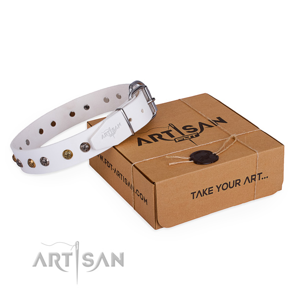 Handy use dog collar with Impressive strong studs
