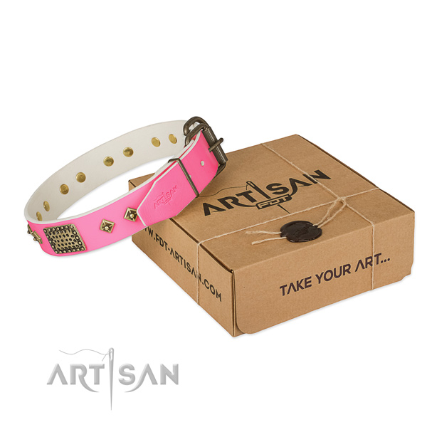 Rust-proof hardware on dog collar for everyday use
