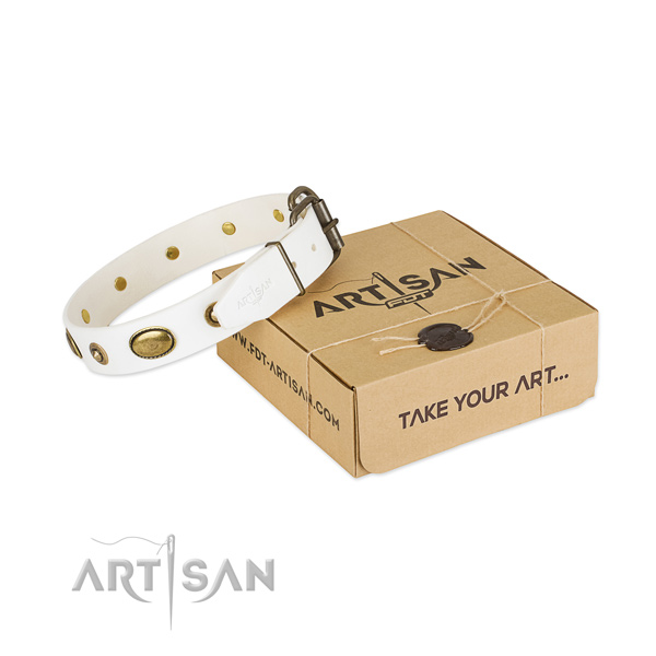 Remarkable genuine leather collar for your impressive pet