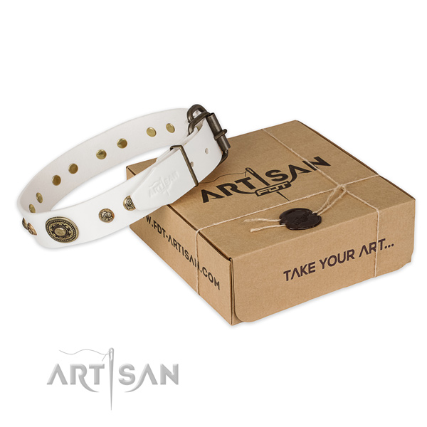 Rust-proof fittings on full grain leather dog collar for everyday use