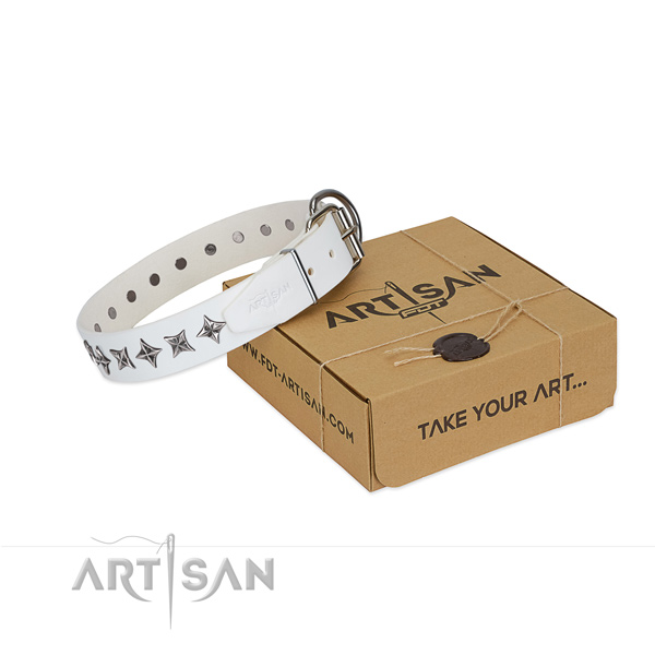 Quality leather dog collar with trendy decorations