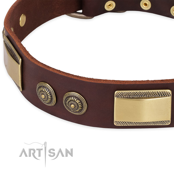 Impressive genuine leather collar for your stylish doggie