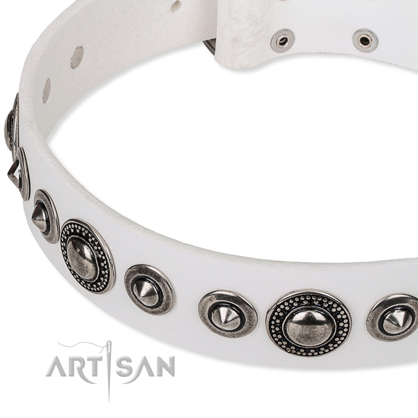 Stylish walking studded dog collar of fine quality full grain genuine leather