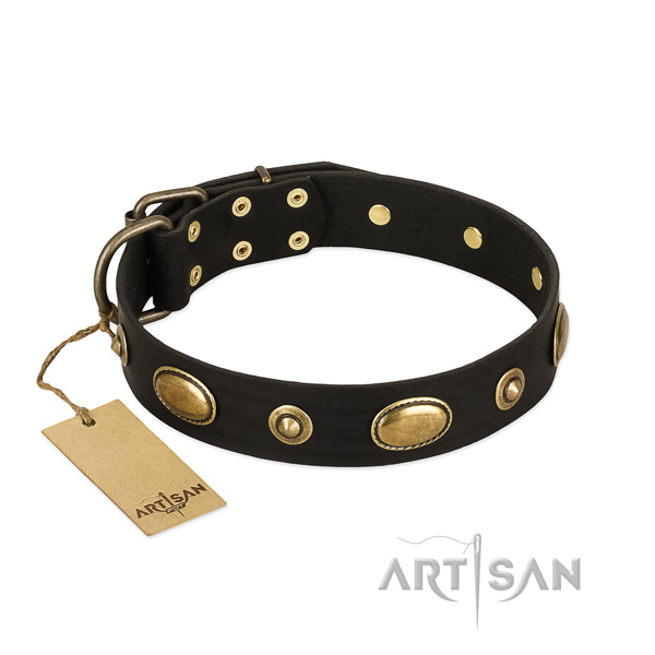 Stylish leather collar for your pet