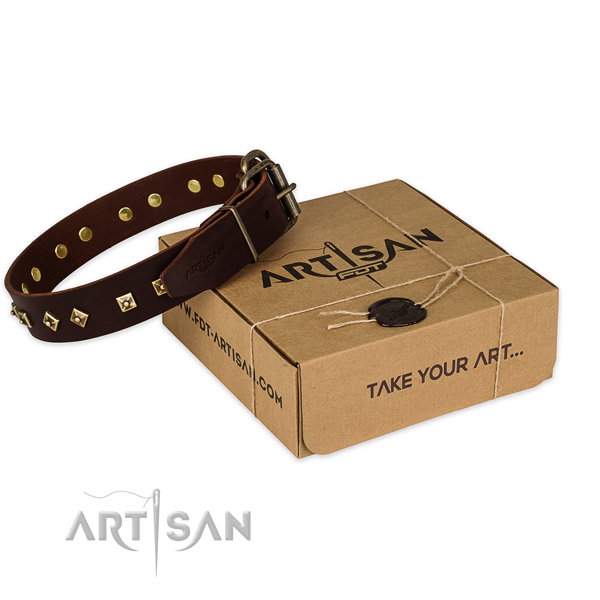 Reliable buckle on leather dog collar for daily walking
