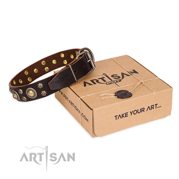 Comfy wearing dog collar of fine quality full grain natural leather with adornments