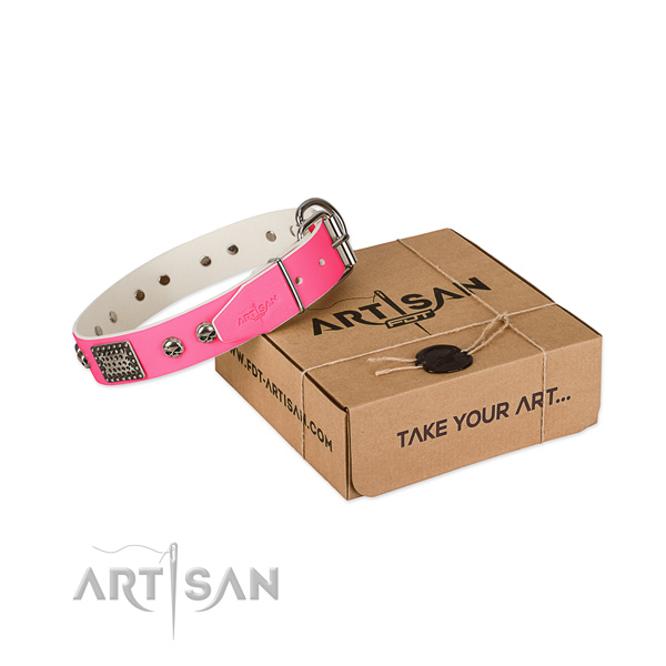 Reliable traditional buckle on dog collar for daily use