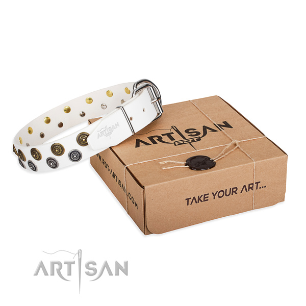 Everyday walking dog collar of top quality natural leather with adornments