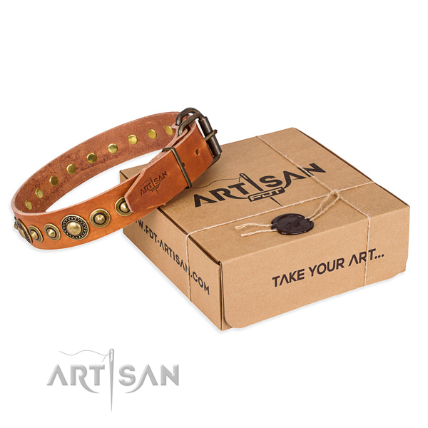 High quality leather dog collar crafted for daily use