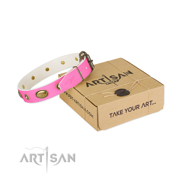 Exceptional genuine leather collar for your impressive four-legged friend