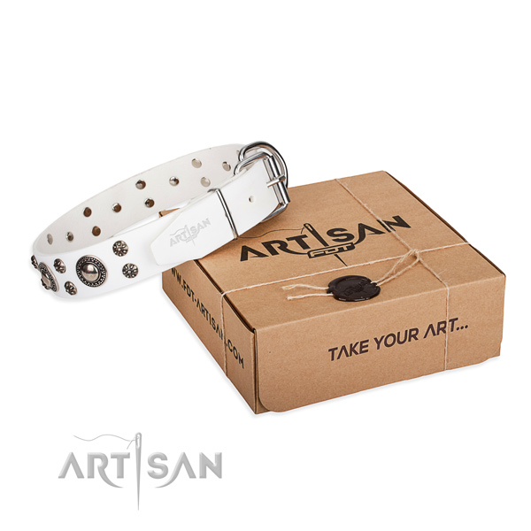 Comfy wearing dog collar of reliable leather with studs