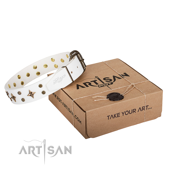 Easy wearing dog collar of top notch full grain genuine leather with decorations