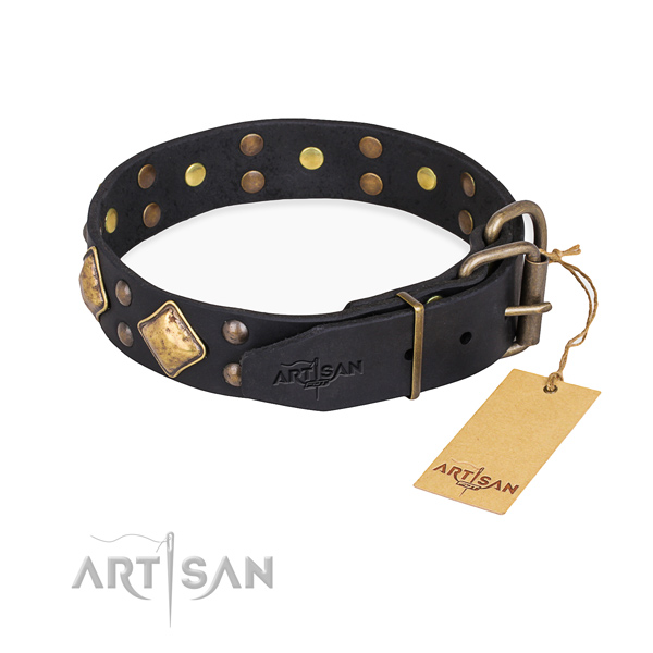 Full grain leather dog collar with significant rust resistant studs