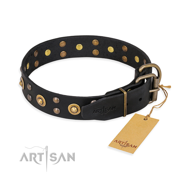 Durable hardware on leather collar for your handsome dog