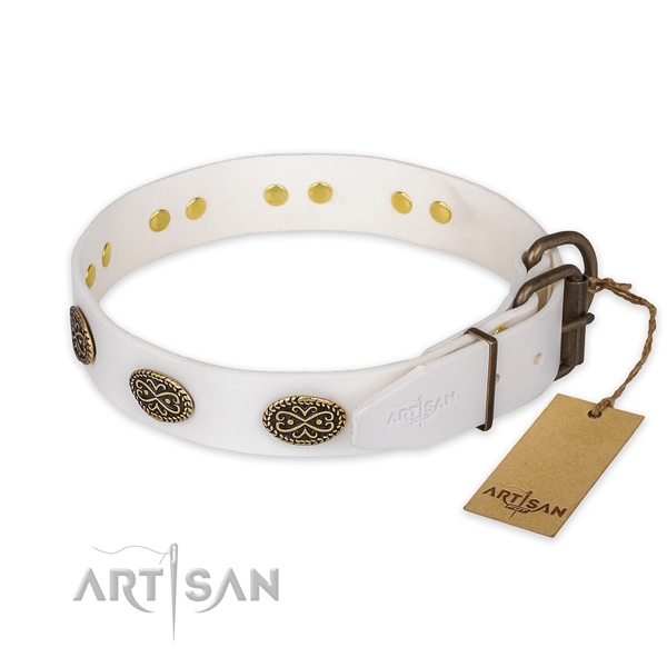 Strong hardware on genuine leather collar for walking your canine