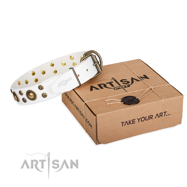 Handy use dog collar of durable full grain genuine leather with adornments