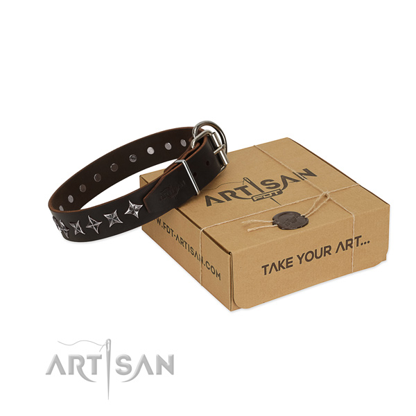 Comfy wearing dog collar of reliable full grain natural leather with embellishments