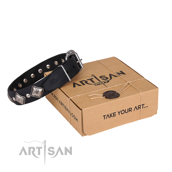 Walking dog collar of top quality genuine leather with adornments