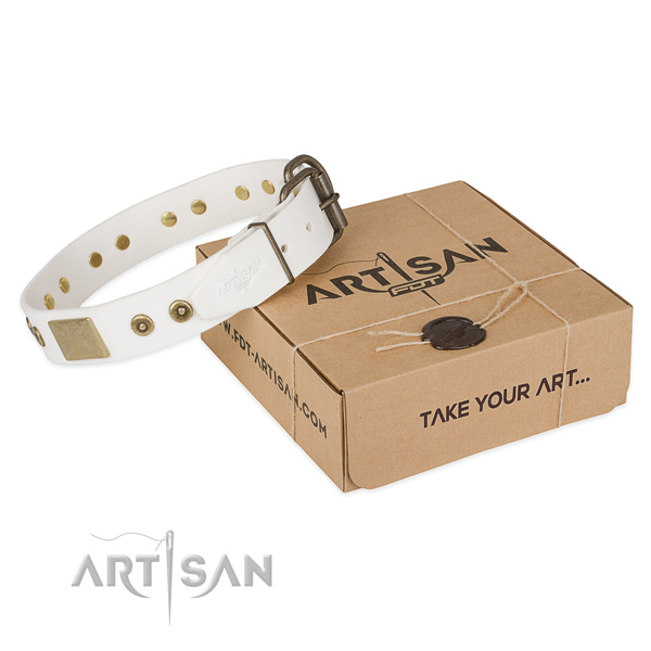 Stylish leather collar for your impressive canine