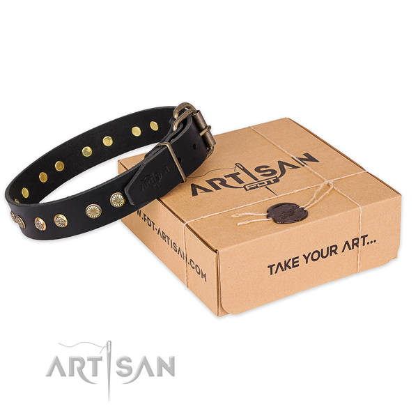 Corrosion proof D-ring on full grain natural leather collar for your stylish canine