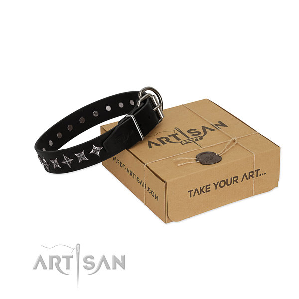 Everyday walking dog collar of fine quality leather with studs