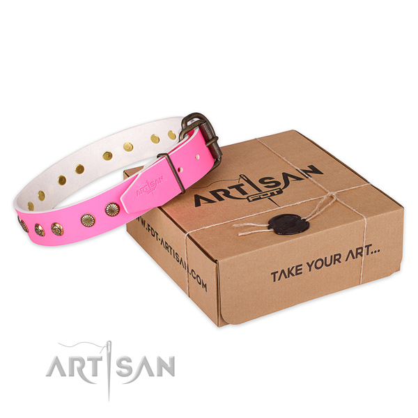 Rust resistant hardware on leather collar for your attractive dog