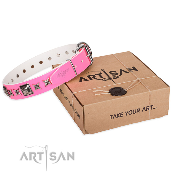Stylish walking leather dog collar with adornments