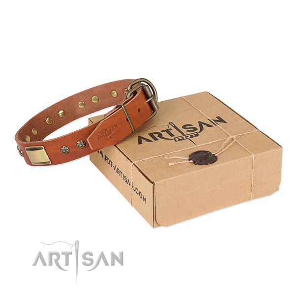 Studded natural genuine leather collar for your handsome canine