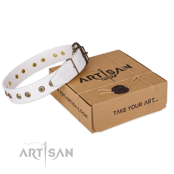 Reliable buckle on leather collar for your lovely dog