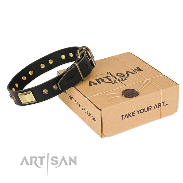 Adorned natural leather collar for your attractive four-legged friend