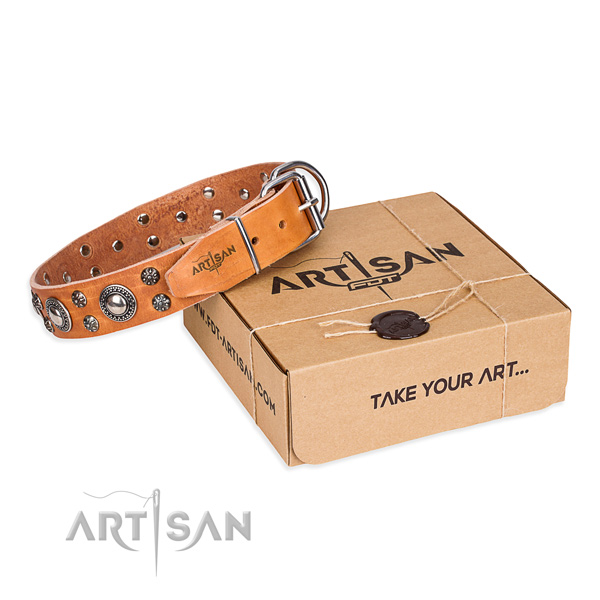 Comfortable wearing dog collar of fine quality full grain natural leather with embellishments