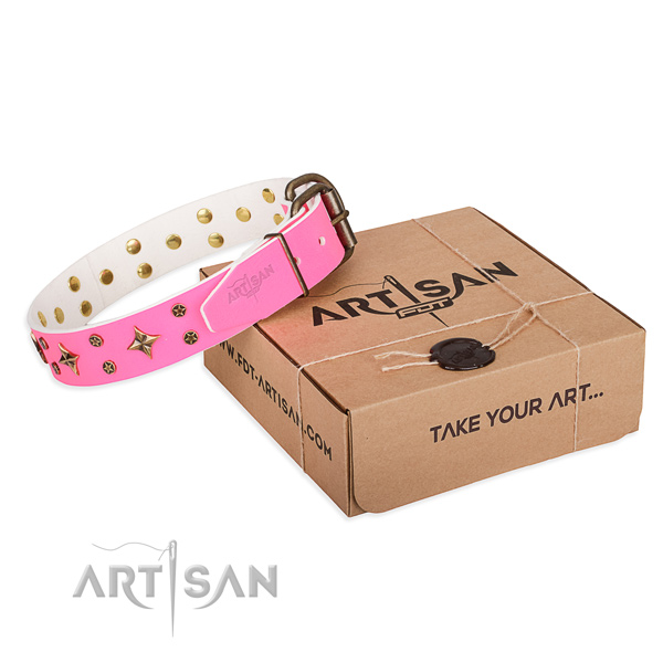 Stylish walking dog collar of quality genuine leather with adornments
