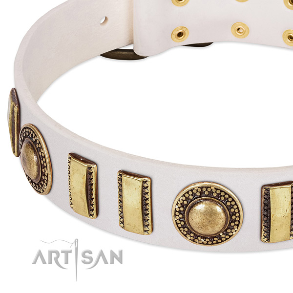 Gentle to touch leather dog collar with corrosion proof buckle